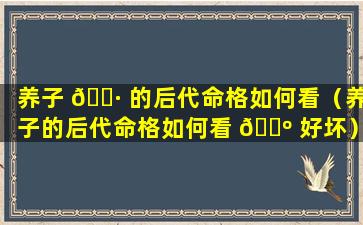 养子 🌷 的后代命格如何看（养子的后代命格如何看 🌺 好坏）
